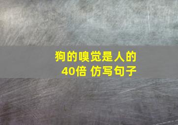 狗的嗅觉是人的40倍 仿写句子